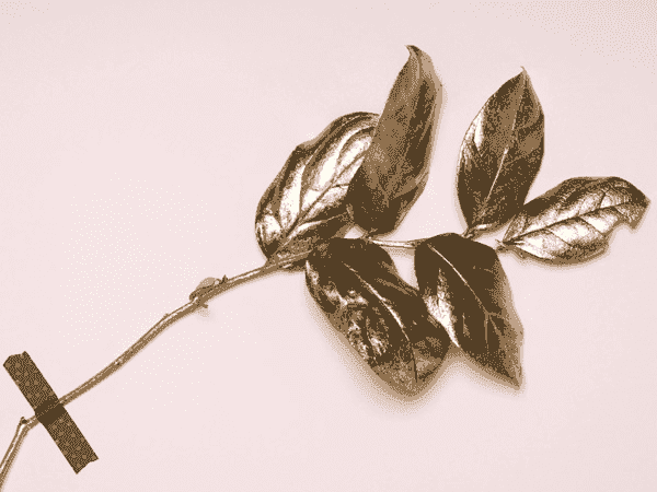 手机版ddos攻击器